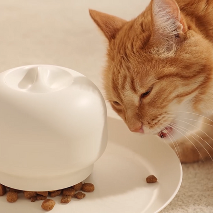 Meucats Pet Slow Feeder